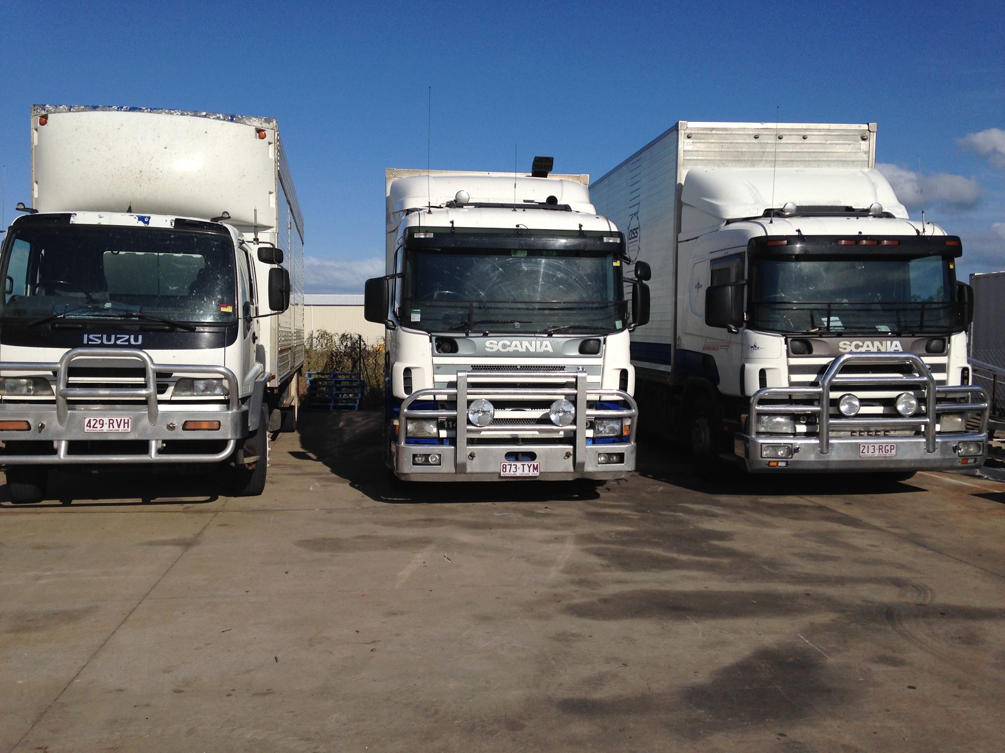 Three removals trucks, an Isuzu and two Scanias, parked side by side in a yard